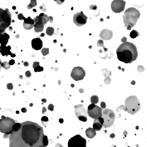 خال خال سیاه و سفید